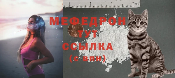 амф Костерёво