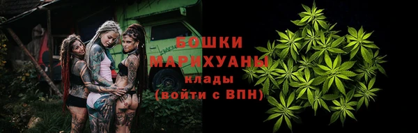 амф Костерёво