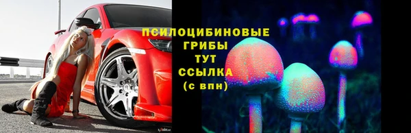 амф Костерёво