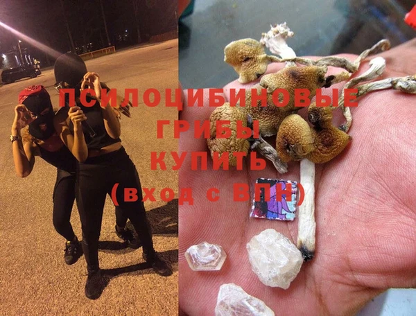 таблы Коряжма