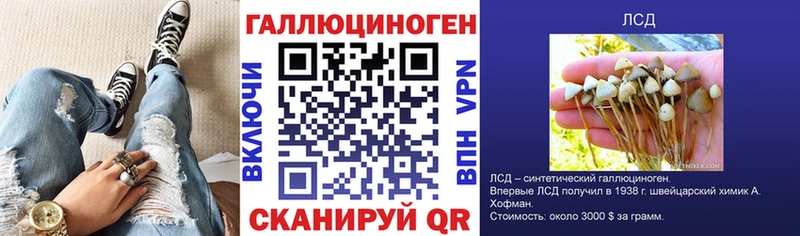 Купить где  Карабулак  Псилоцибиновые грибы мицелий 